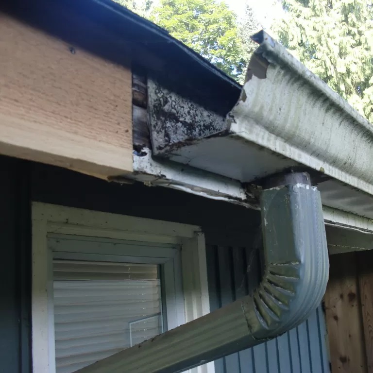 Gutter Replacement Sydney